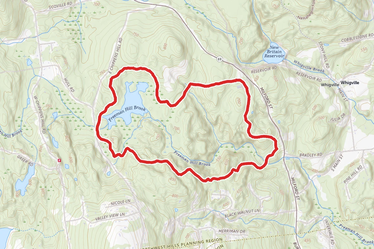 Beaver Pond Trail and Tunxis Trail Loop