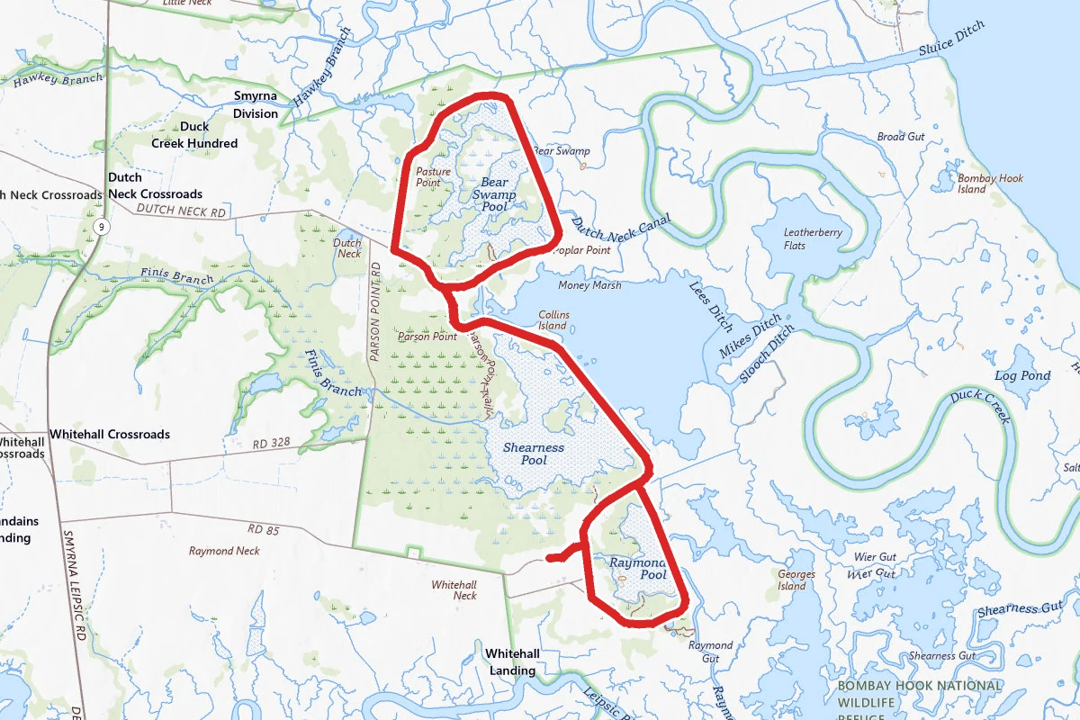 Bombay Hook National Wildlife Refuge Loop