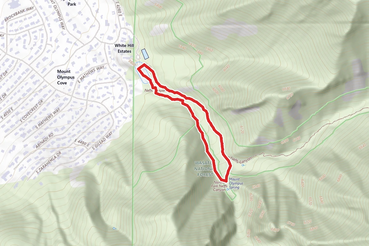 Neff's Canyon Loop