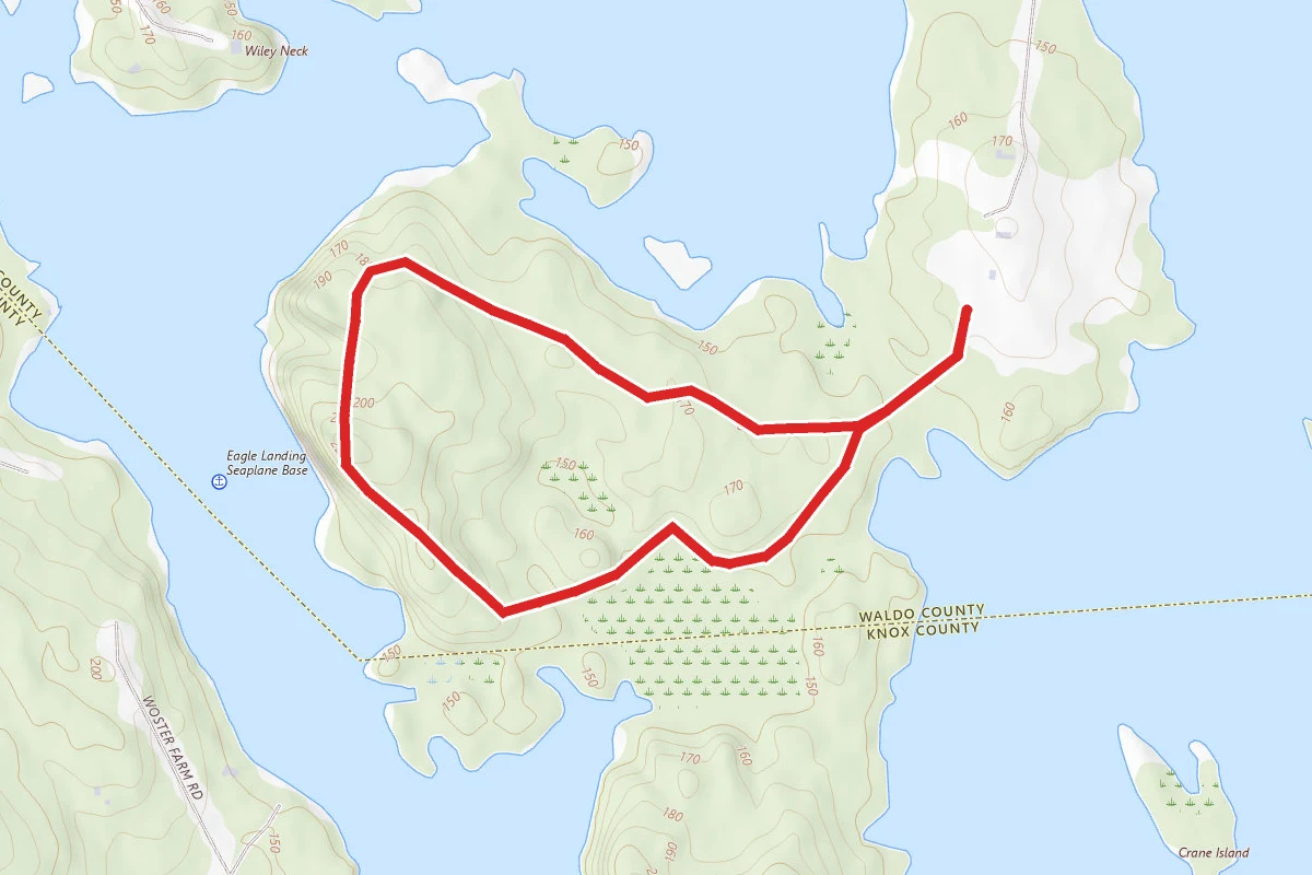 Fernalds Neck