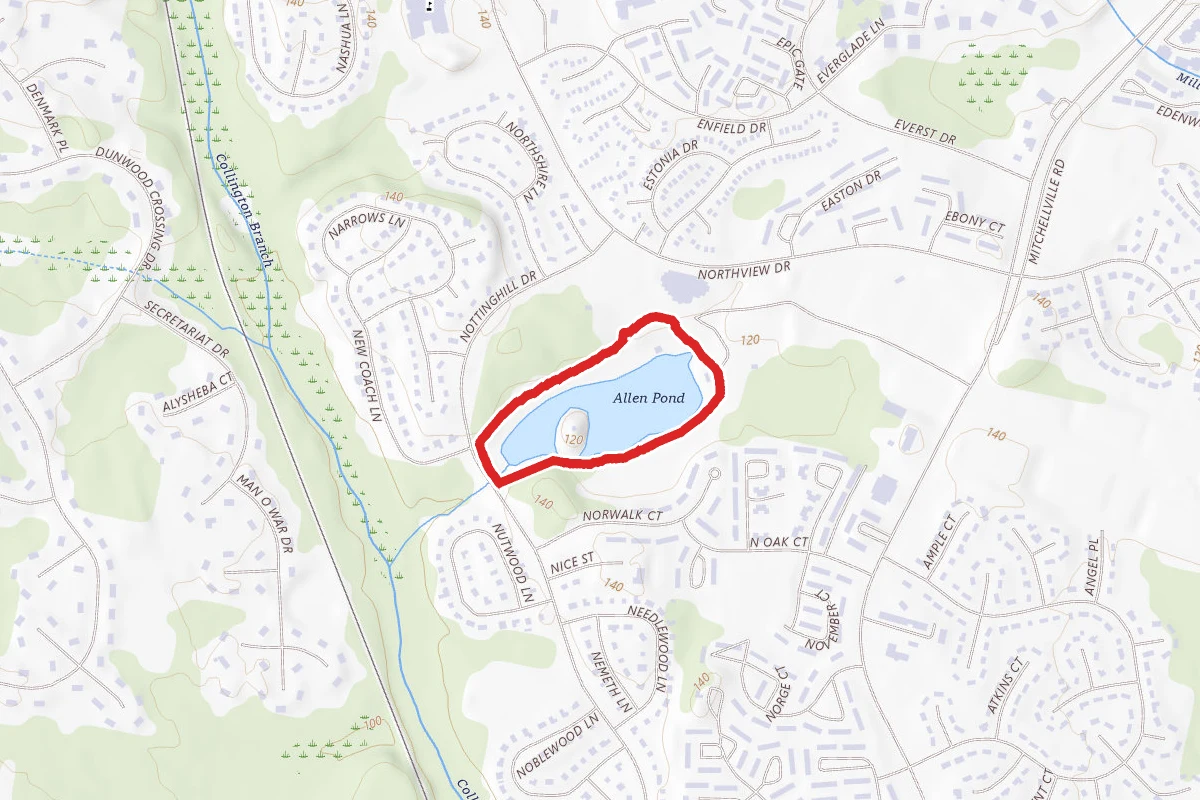 Allen Pond