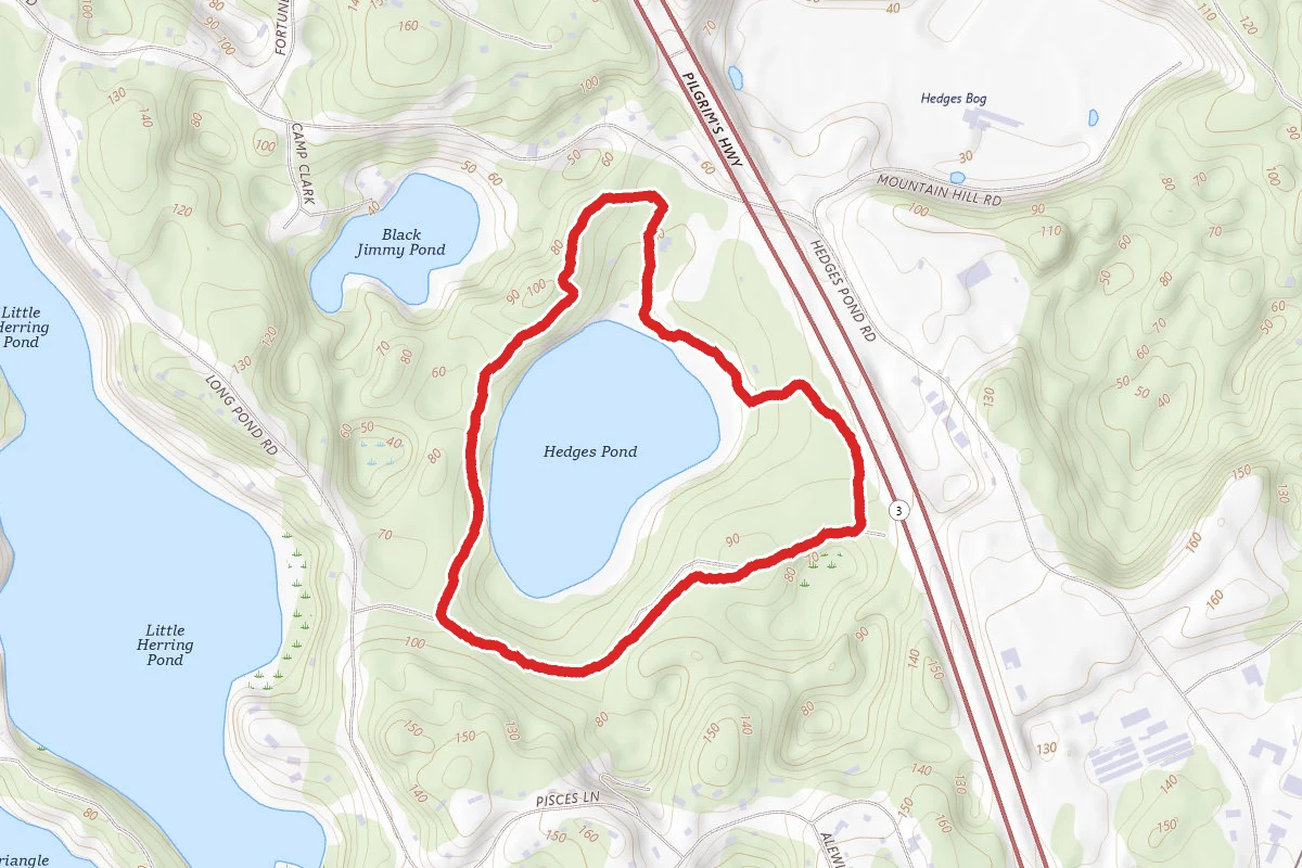 Hedges Pond Loop
