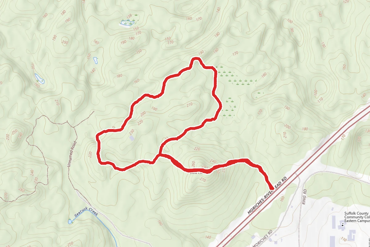 Bald Hill Paumanok Path Trail route map