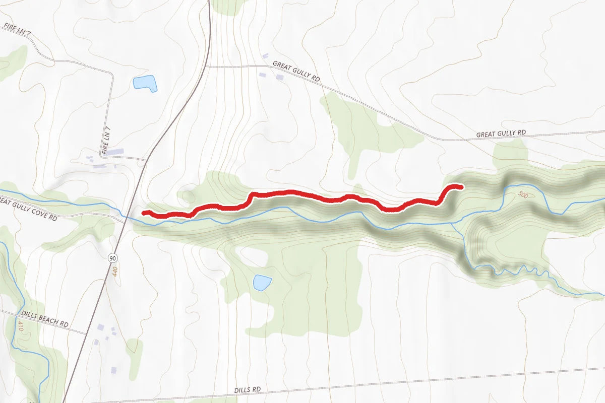 Great Gully Falls Trail