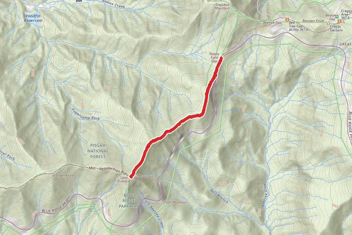 Lane Pinnacle