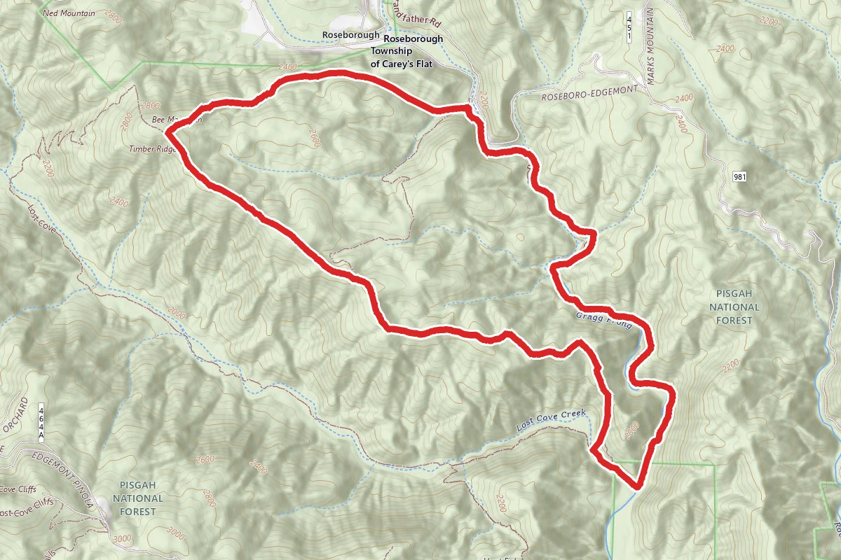 Timber Ridge Loop Trail