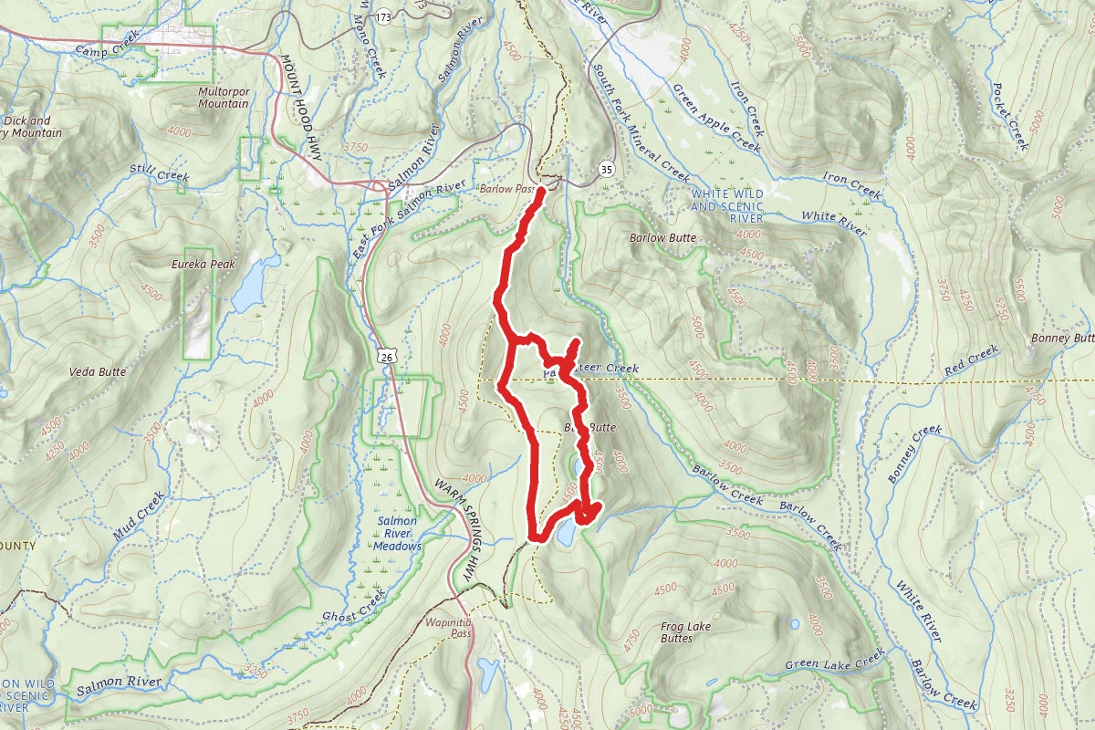Palmateer Point and Twin Lakes Trail Loop