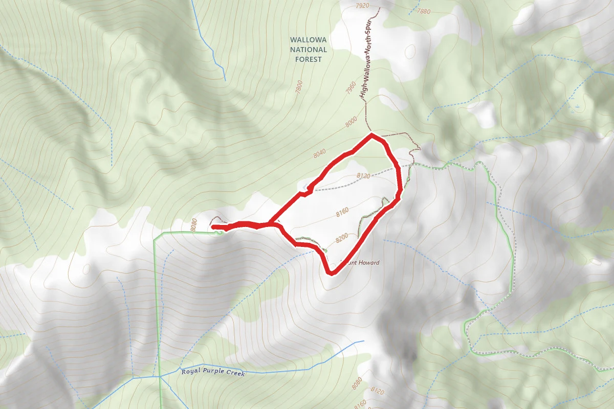 Wallowa Tramway Summit Trails
