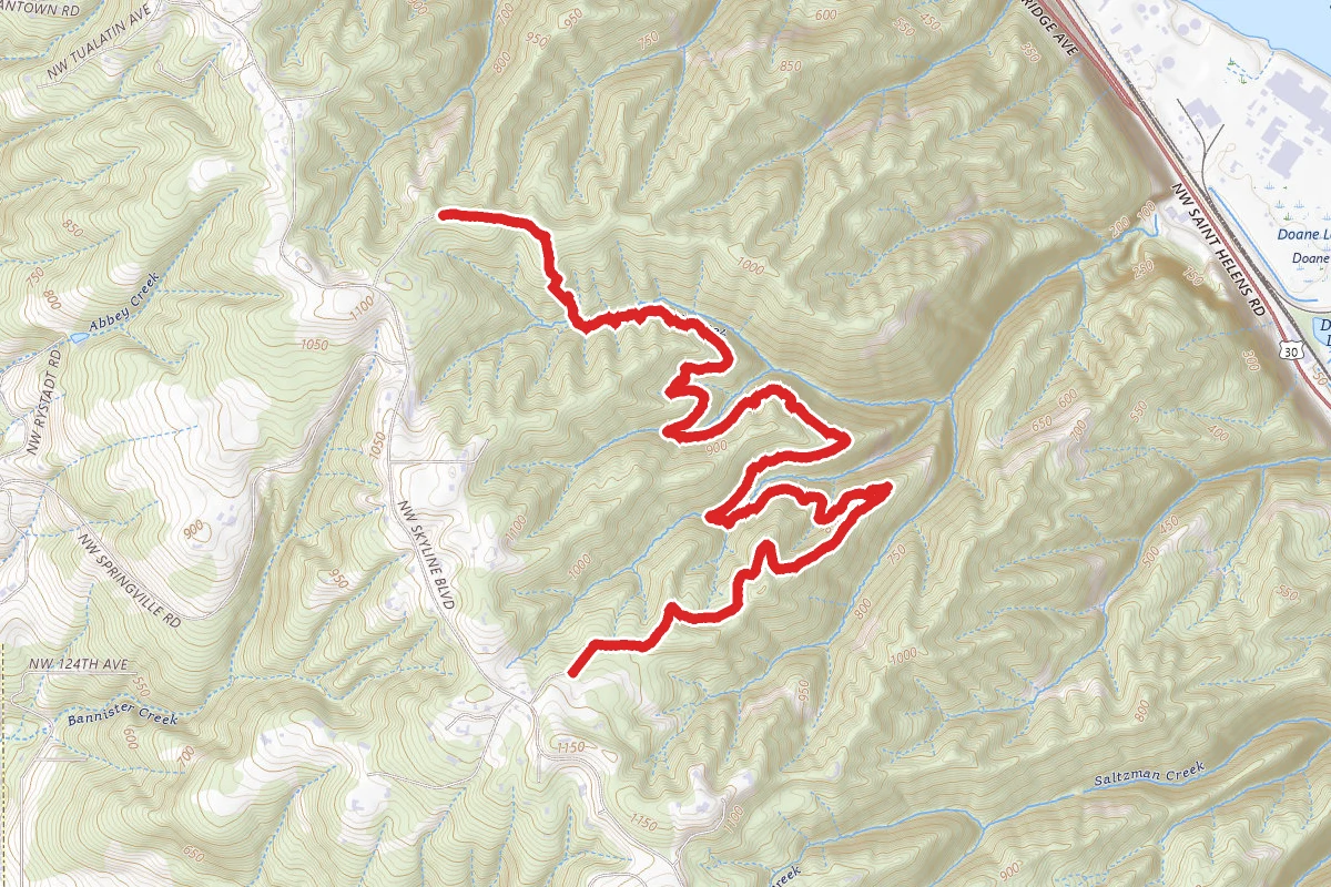 Firelane 7, Wildwood and Firelane 5 Trail