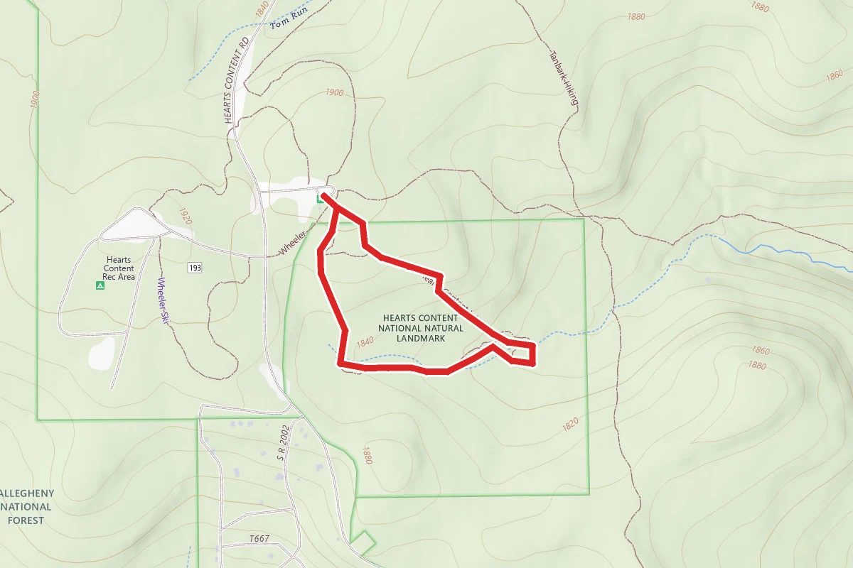 Hearts Content National Scenic Area Trail