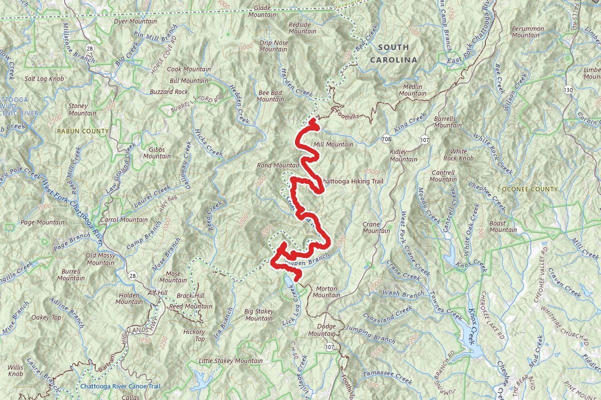 Chattooga Trail to Burrells Ford from Nicholson Ford Road