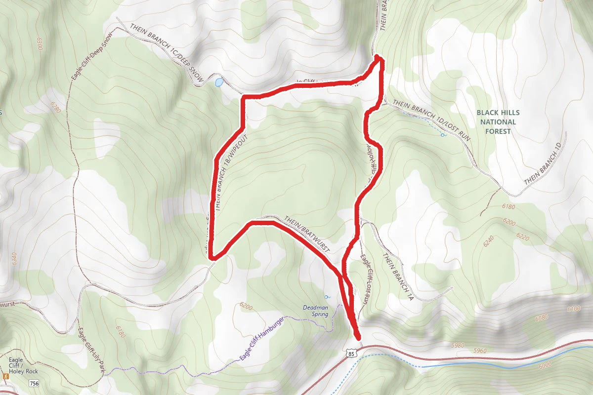 Eagle Cliff Trails