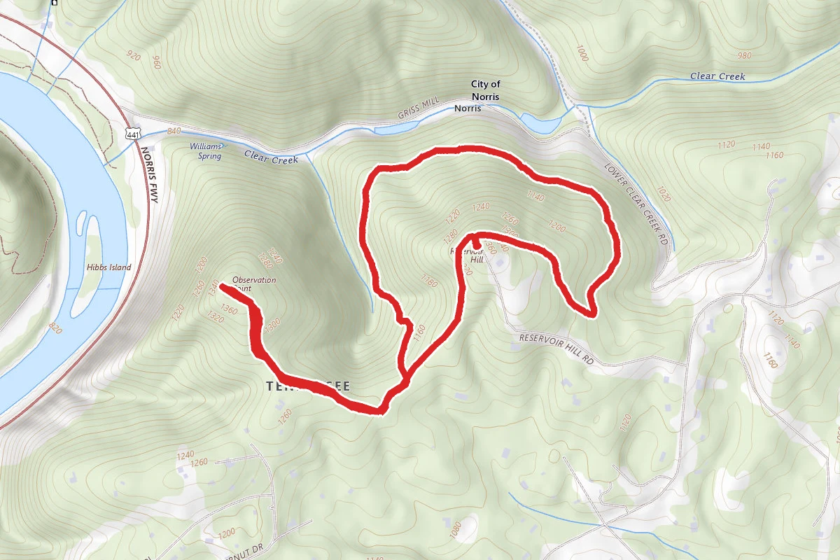 Observation Point Trail