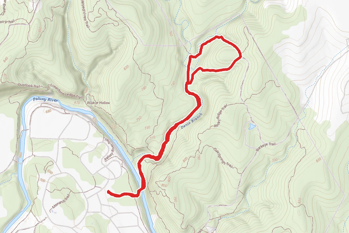 Denio Creek Warbler Trail