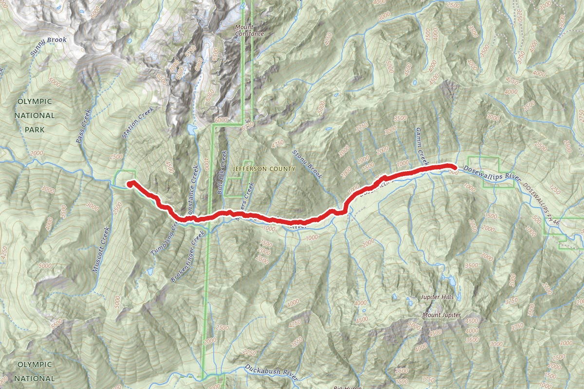 Dosewallips River Road Trail