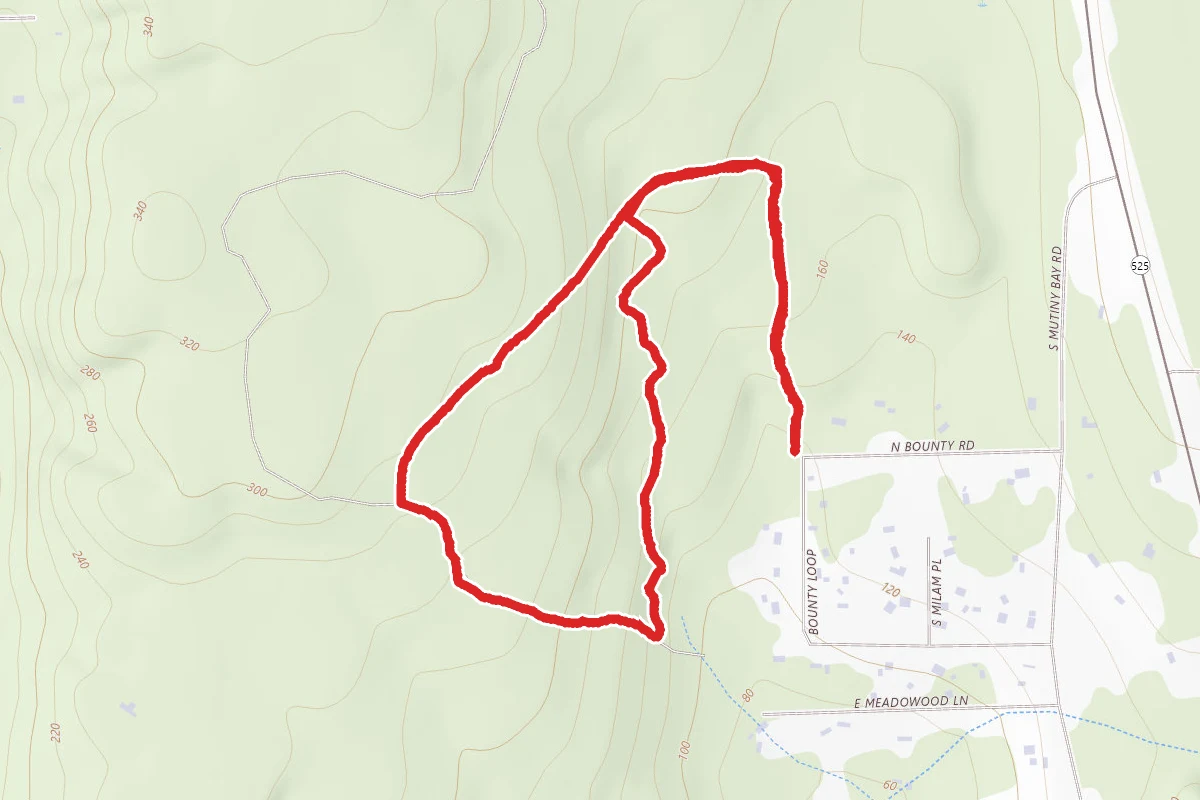 Trillium Forest from Bounty Loop Trailhead