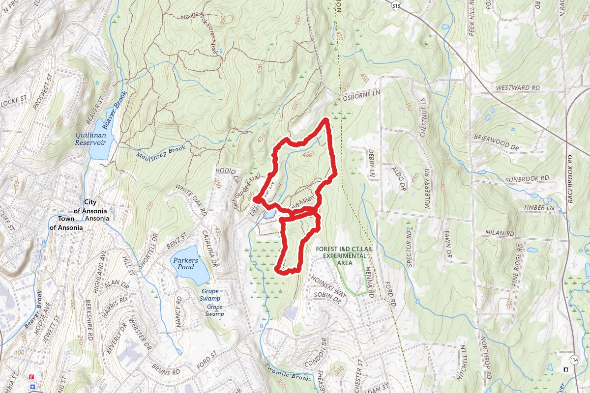Ansonia Nature Center Trail Loop