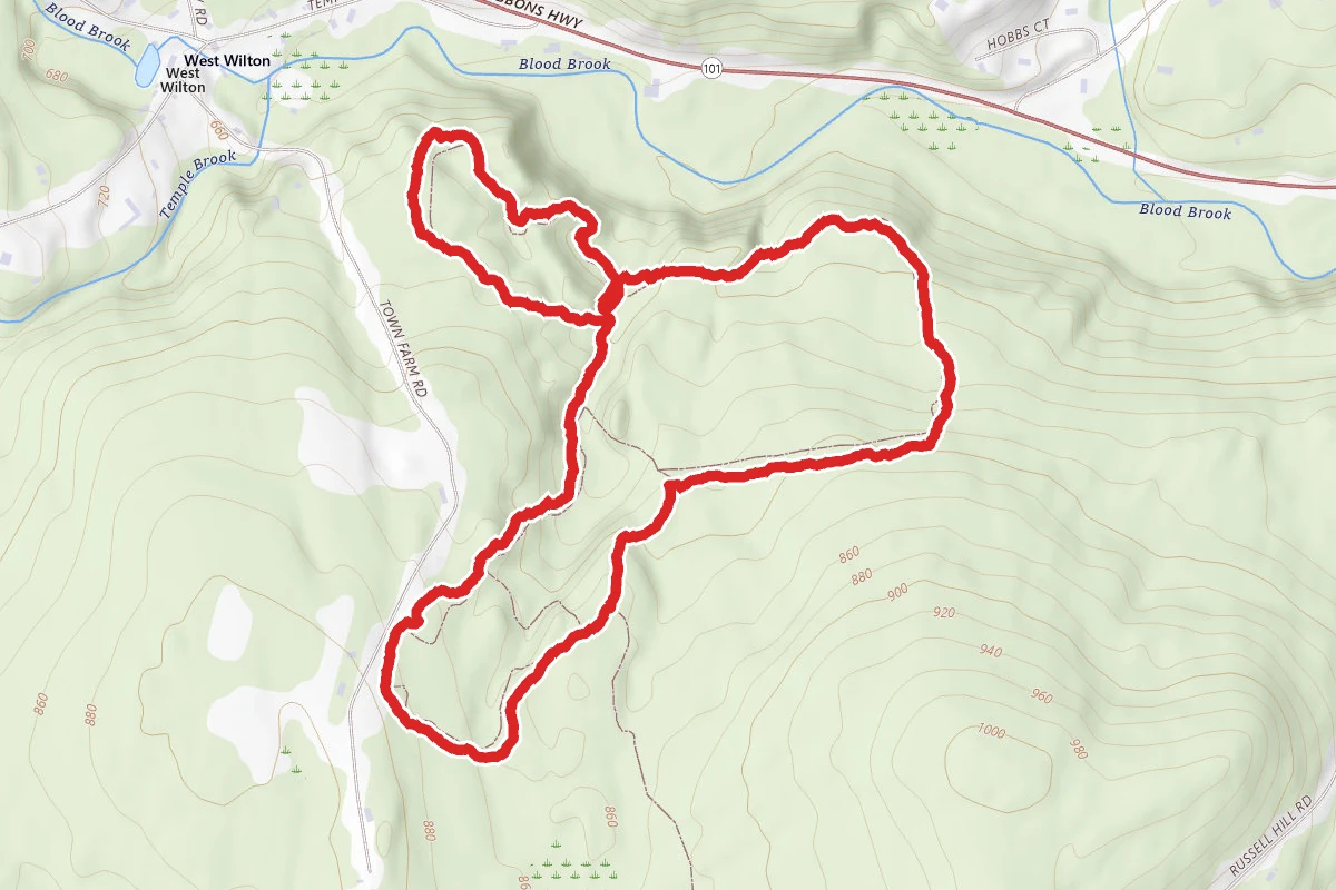 Sheldrick Forest Trail