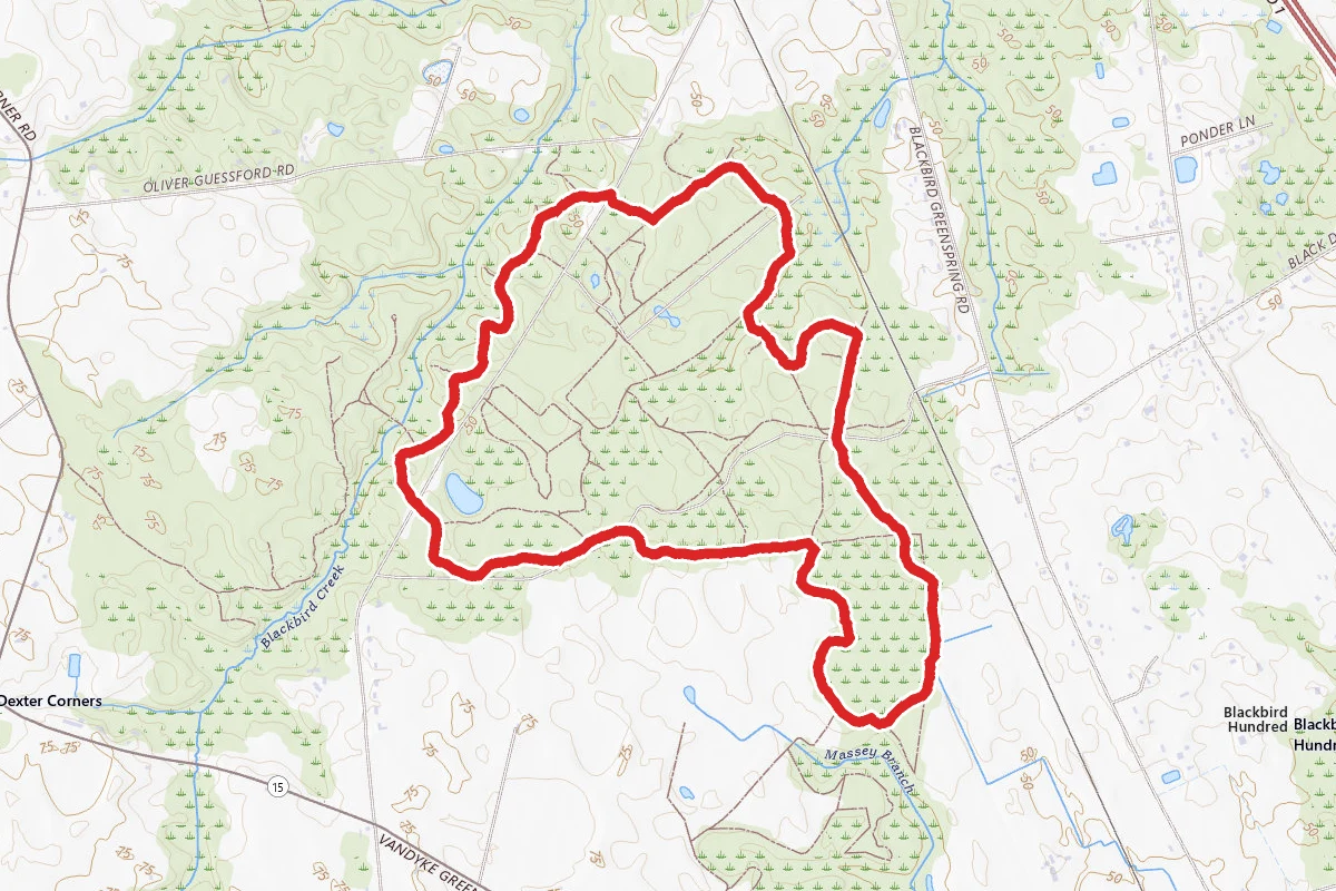 Tybout Tract Blue Trail