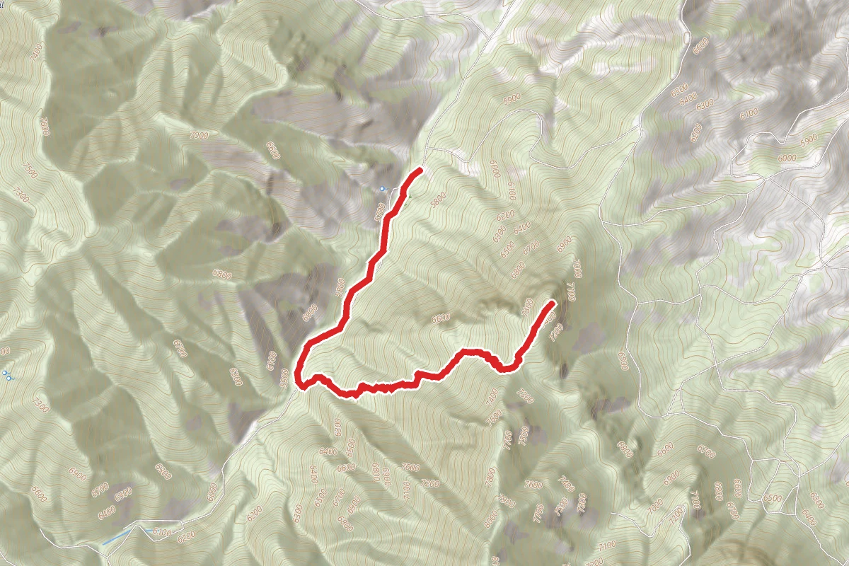 Huachuca Ridge Trail