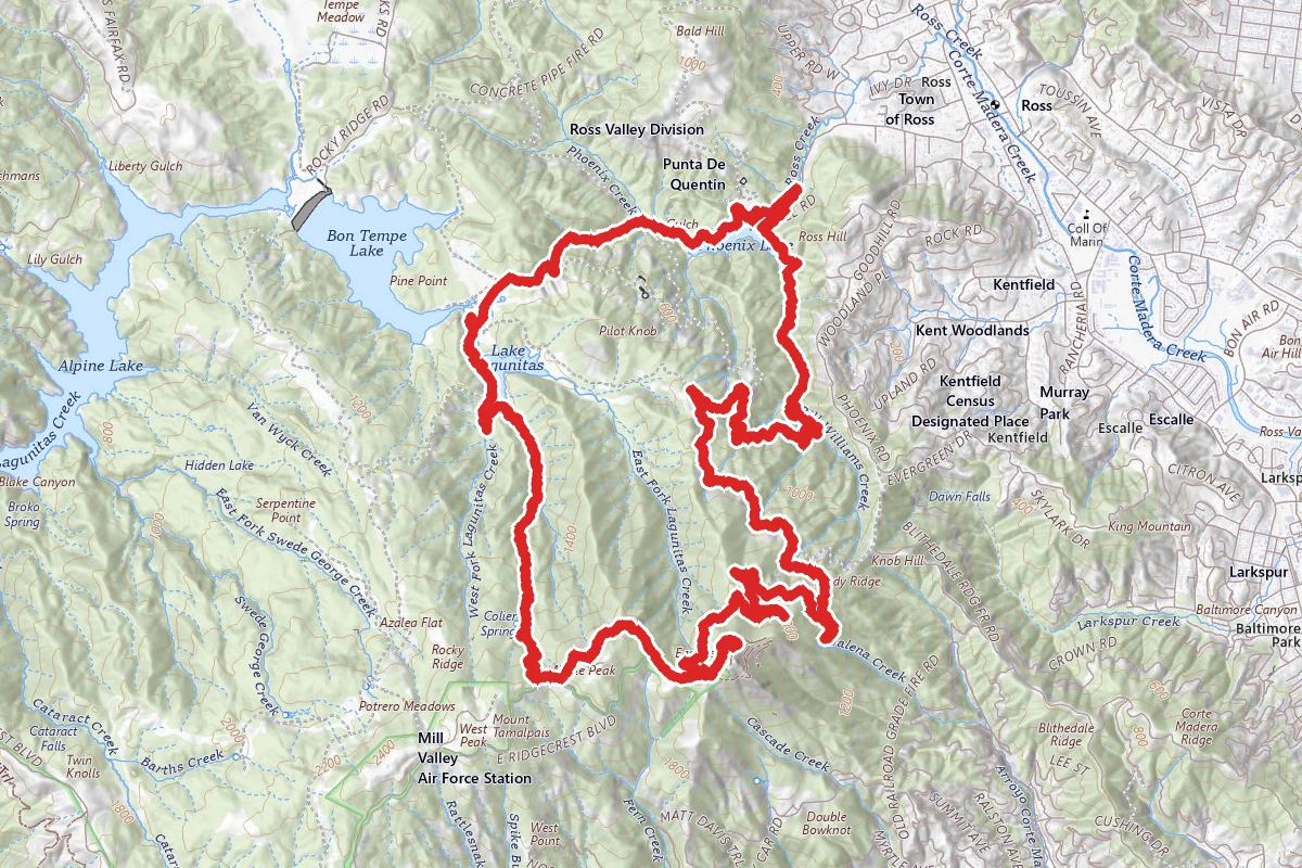 Mount Tam via Collier Trail