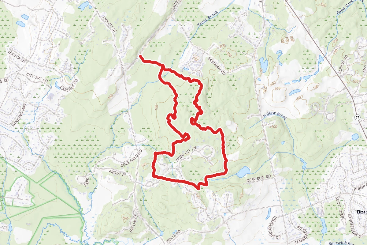 Winnick Woods Long Loop