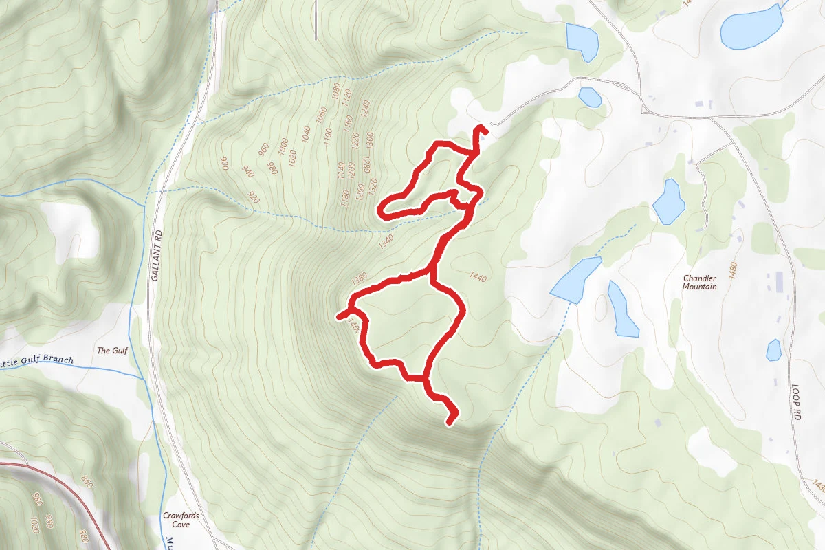 Horse Pens 40 Loop