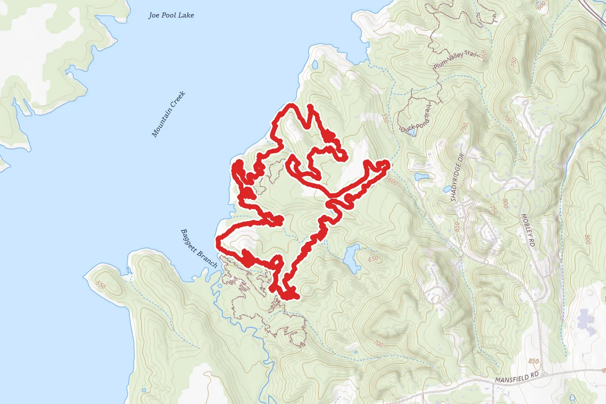 Cedar Hill DORBA Trail