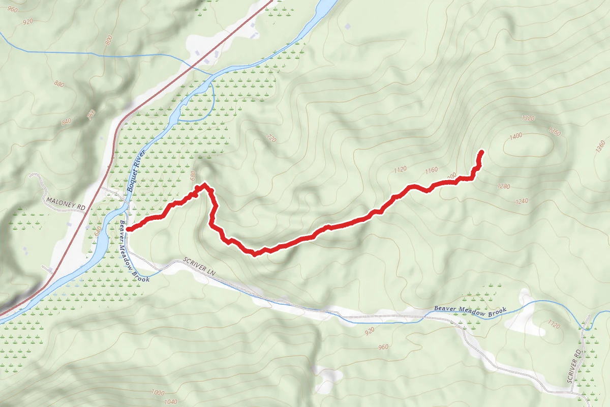 Mount Gilligan
