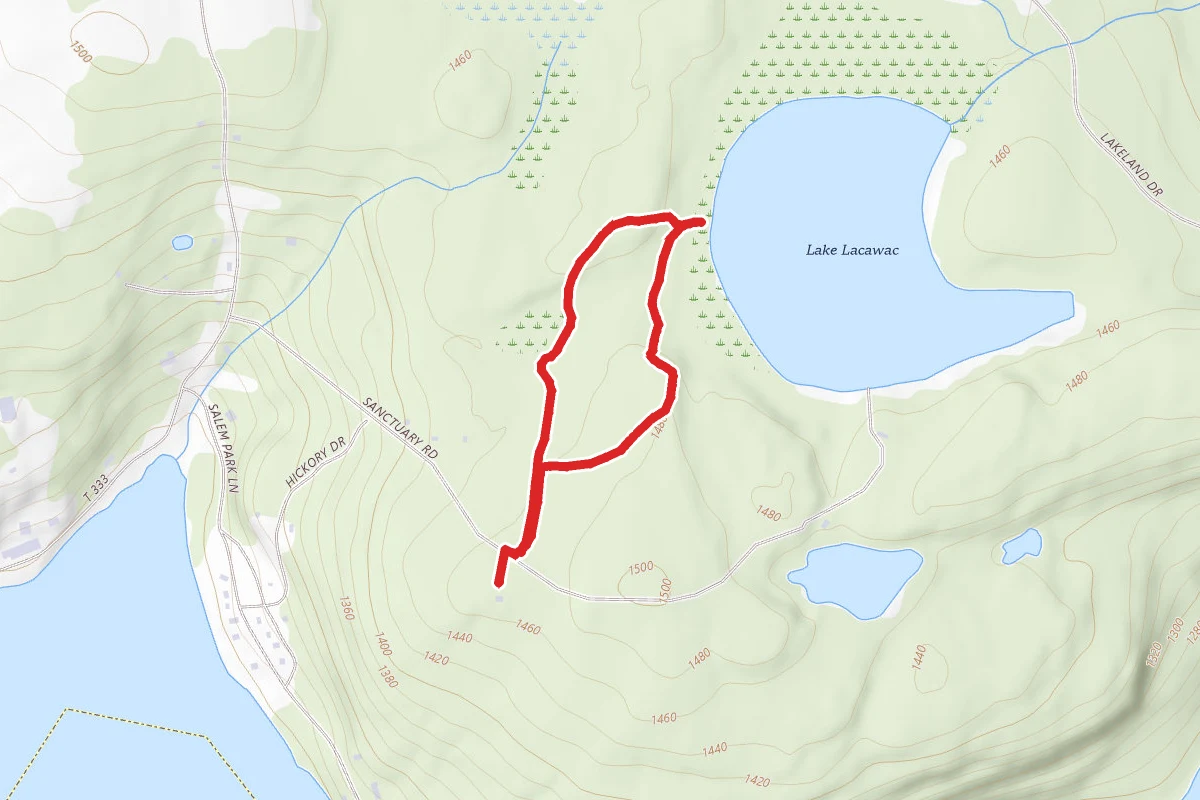 Lake Lacawac Trail