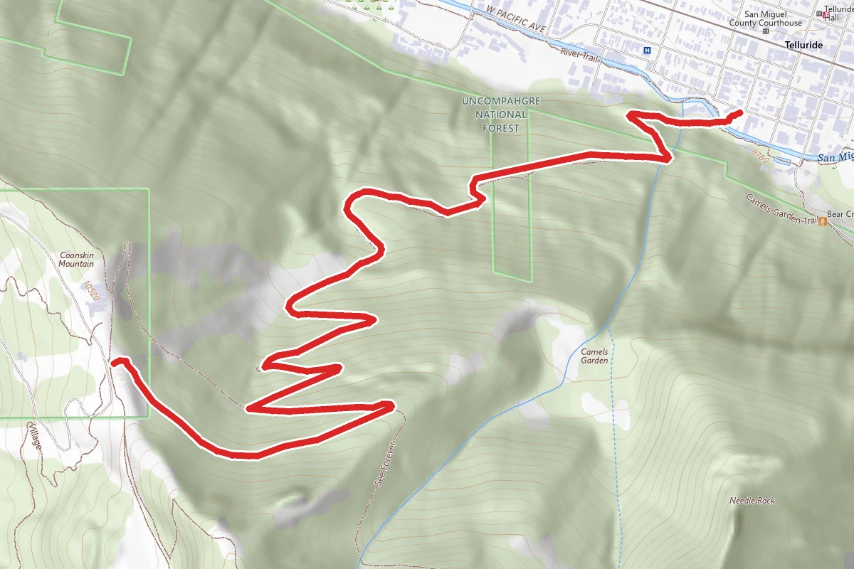Coonskin Mountain Ski Trails