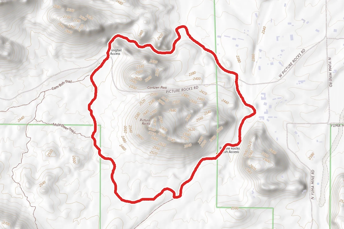 Pictures Rocks and Ring Tail Trails Loop