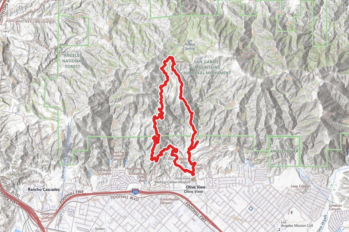 Olive View Loop