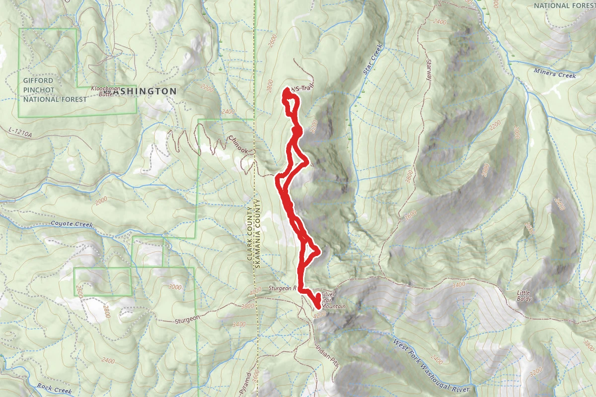 Silver Star and Ed's Trail Loop