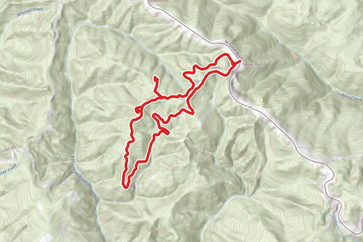 Fir to Methuselah to Tafoni Loop