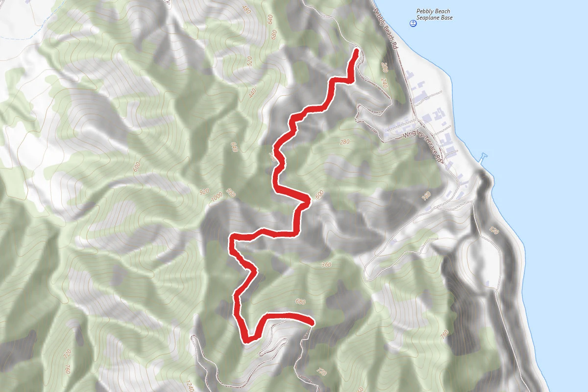 Black Jack Trail