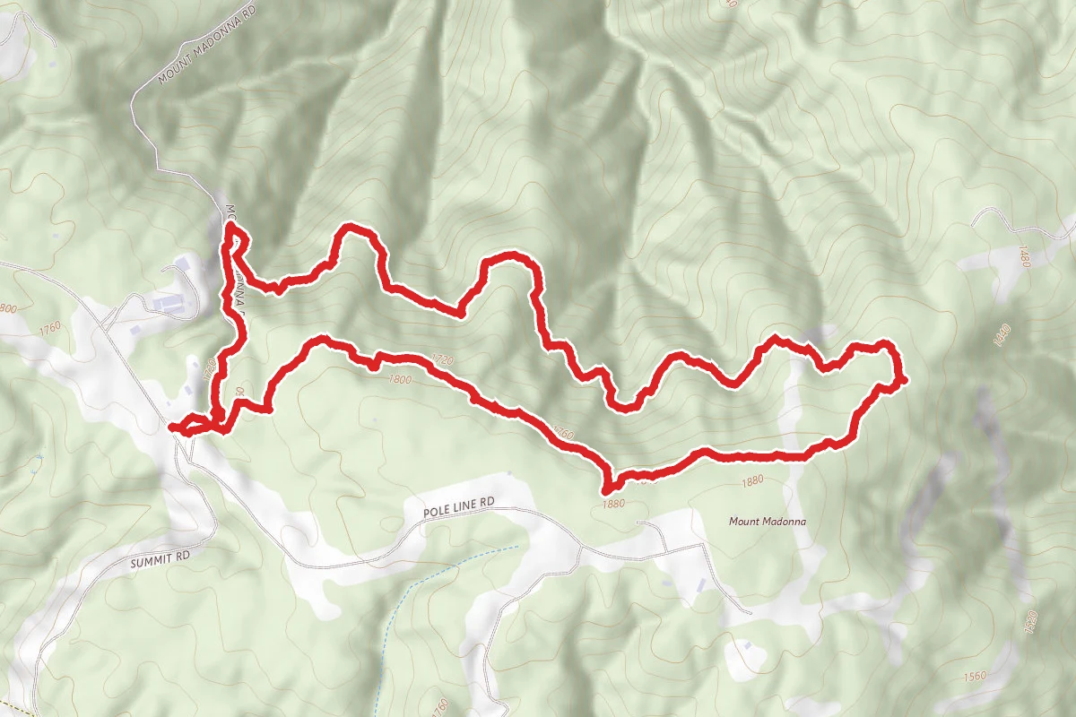 Loop and Tan Oak Trail