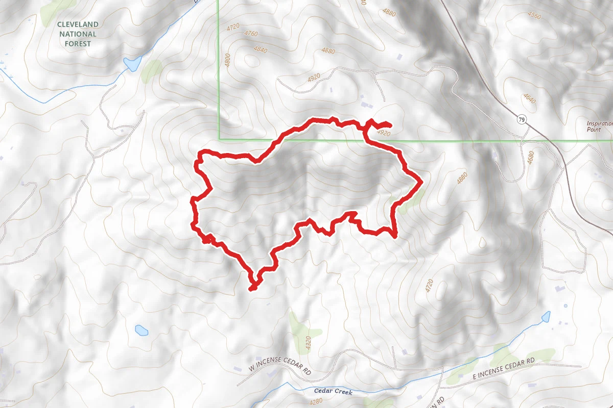 Desert View Loop Trail