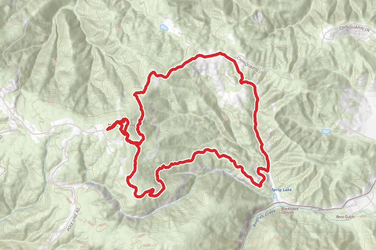 Nature Trail, Merry Go Round, and Ridge Trail Loop