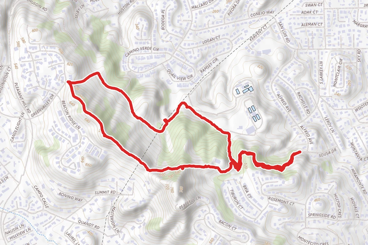 Acalanes Ridge Open Space Loop