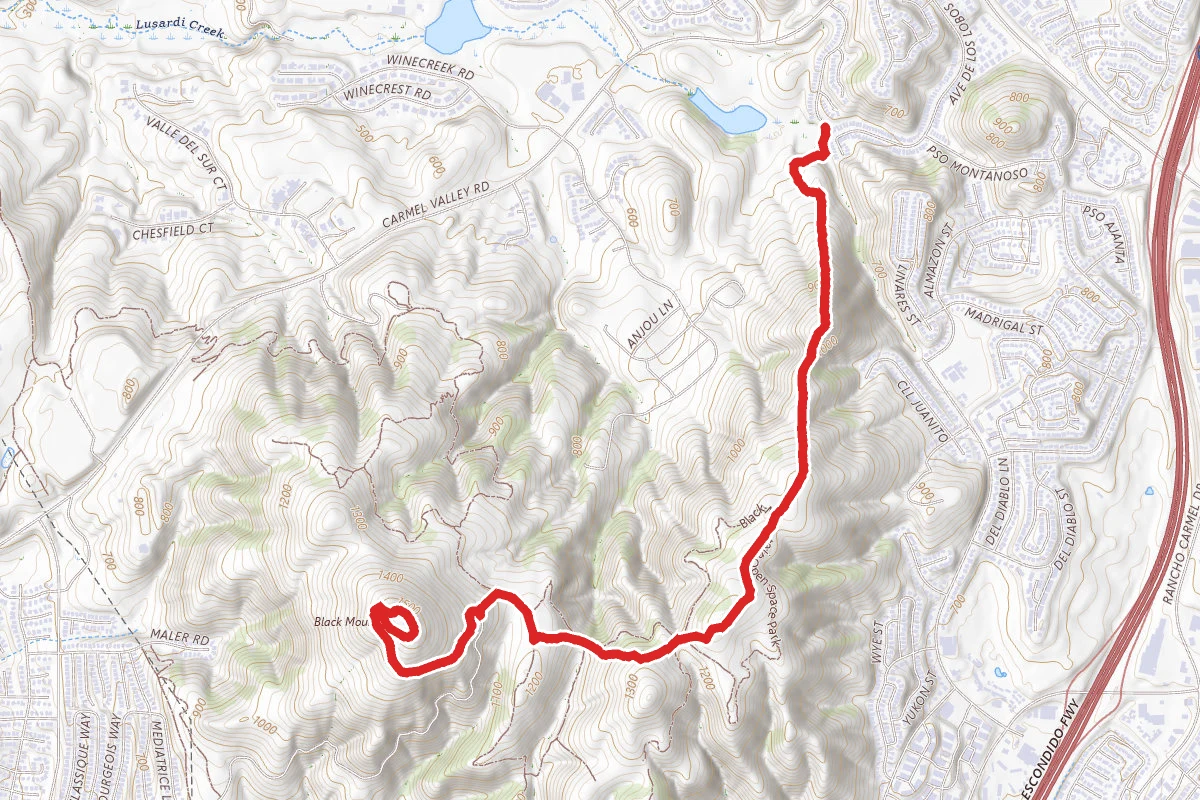 Black Mountain via East Rim Trail