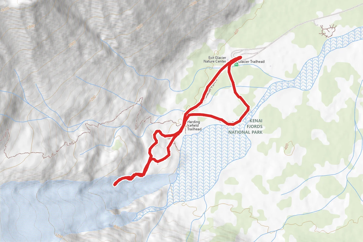 Exit Glacier Trail