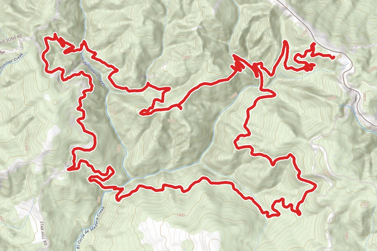 Gordon Mill to Timberview to Virginia Mill and Lawrence Creek Loop