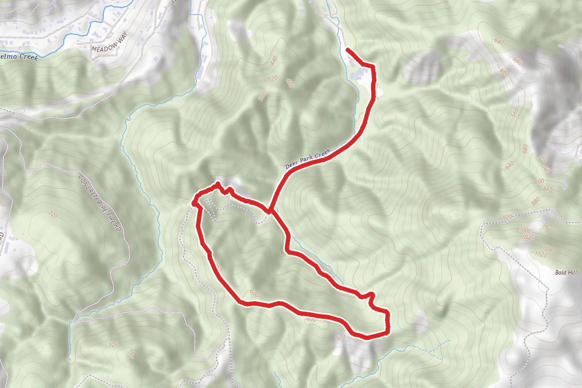 Deer Park Fire Road, Bald Hill Trail, and Six Points Trail Loop
