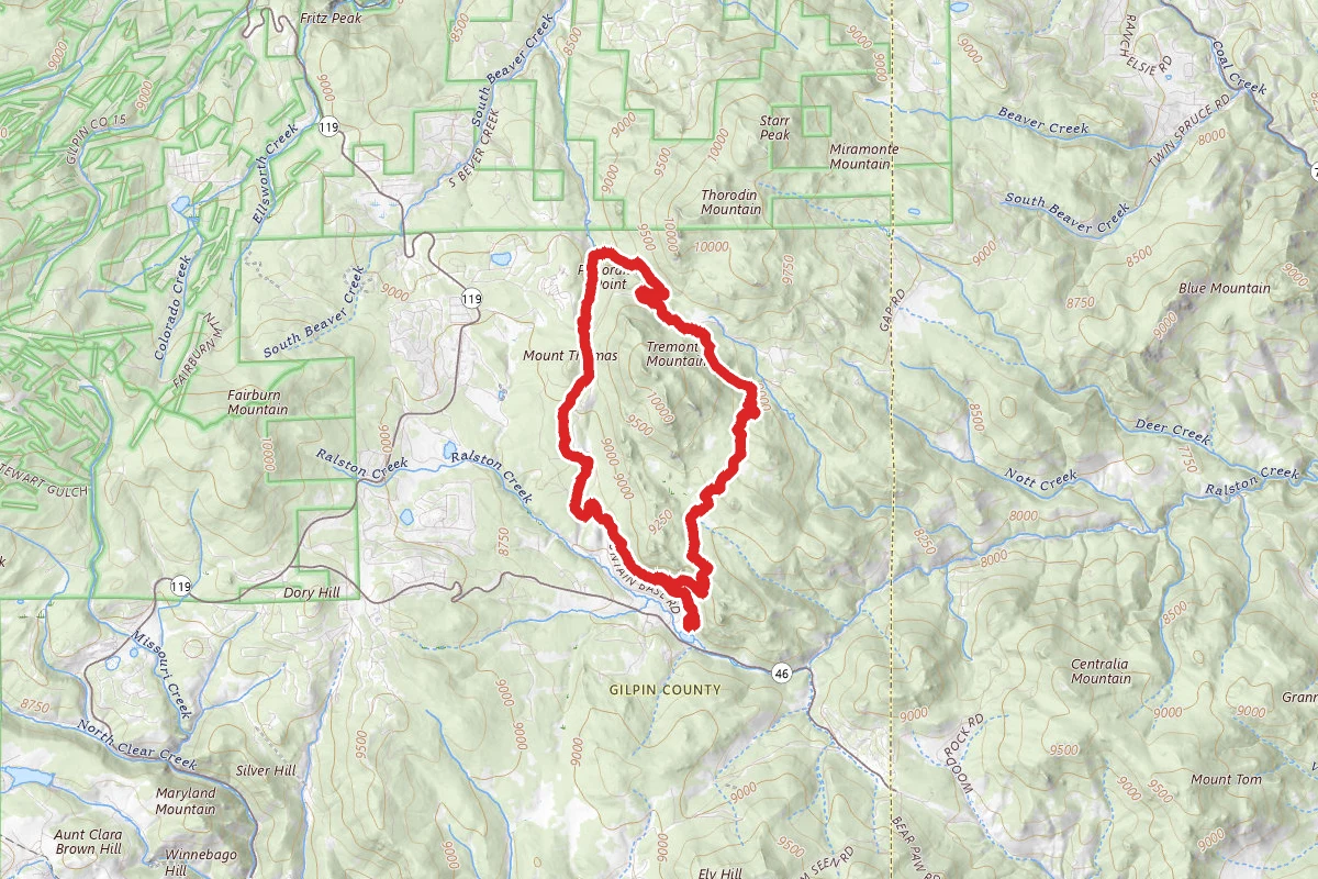 Blue Grouse and Mule Deer Loop