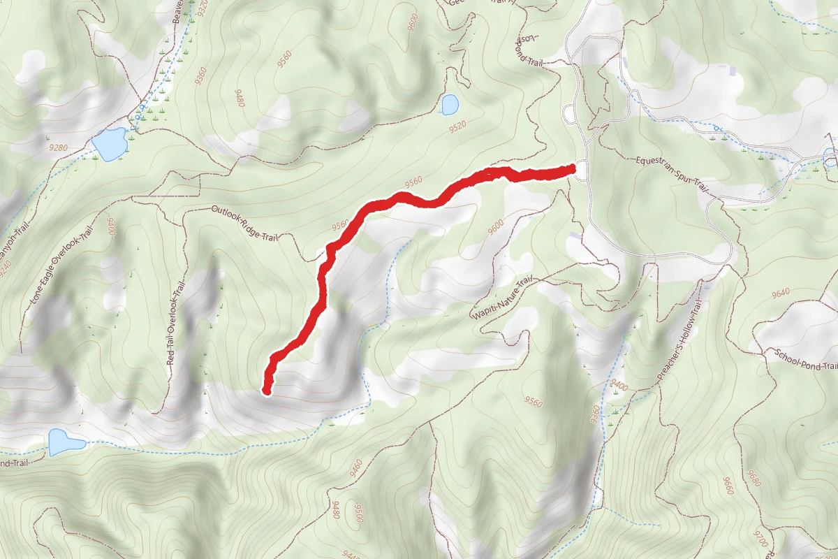 Overlook Ridge Trail
