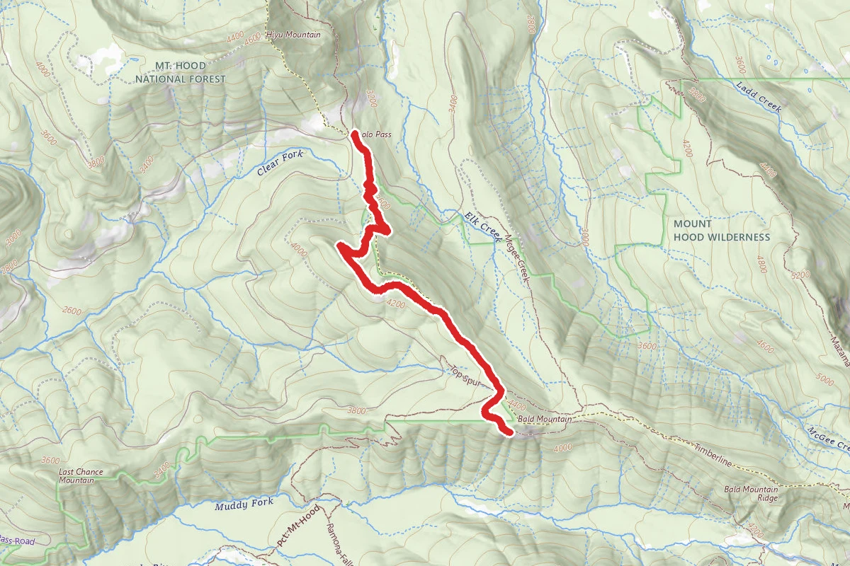 Bald Mountain from Lolo Pass Trail