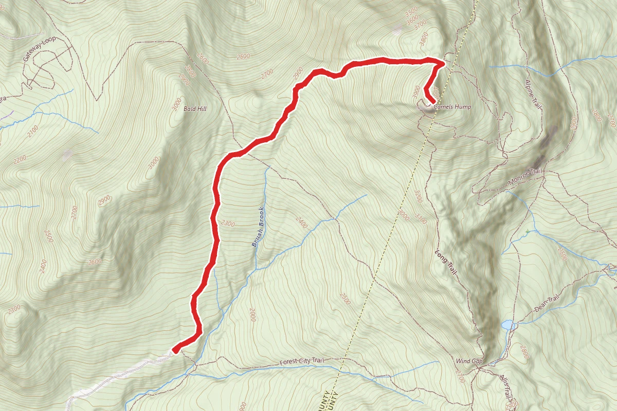 Burrows Trail