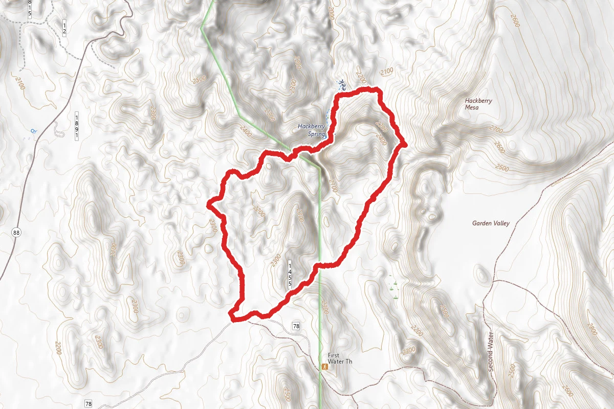 Hackberry Springs Loop