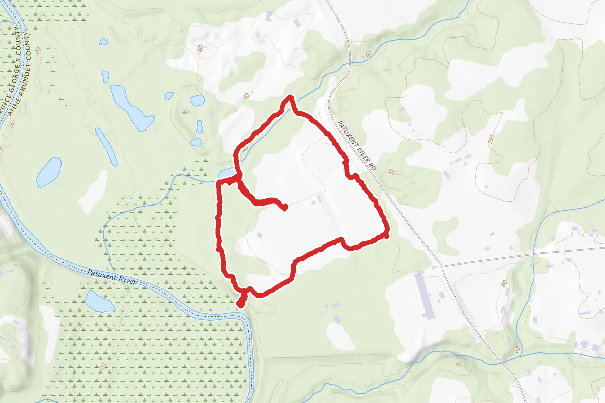 Davidsonville Park Loop